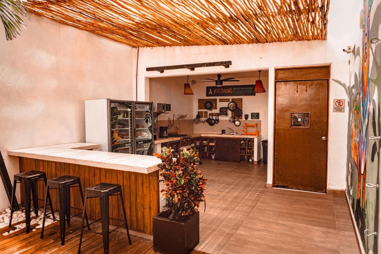 Nomads Hotel & Rooftop Pool קנקון מראה חיצוני תמונה
